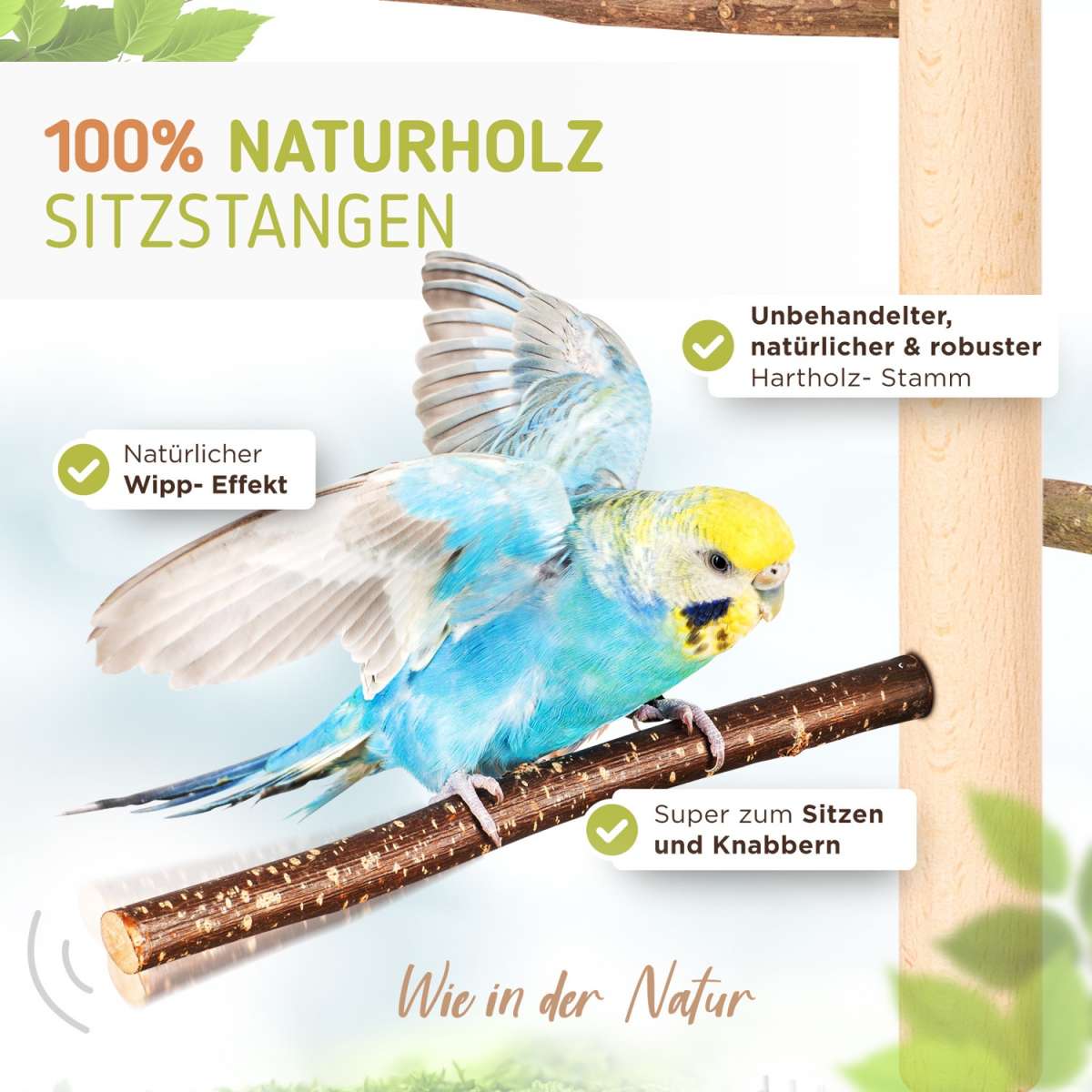 Vogel-Kletternetz Aus Seegras – Natürliche Klettermatte Für Papageien, Sittiche, Hamster & Reptilien