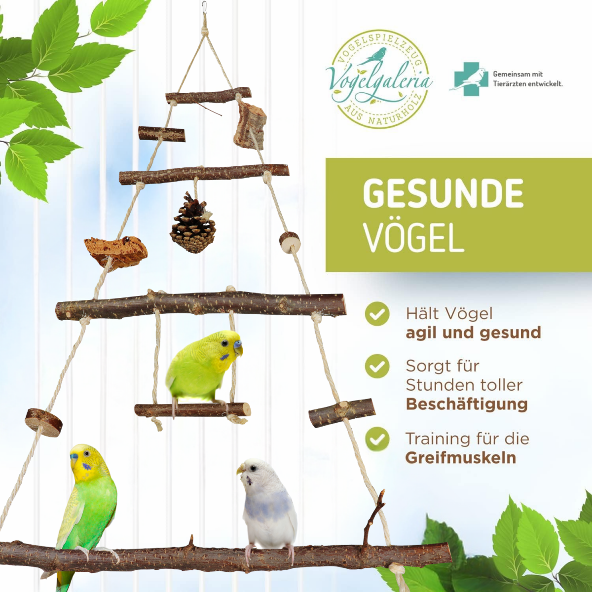 Natürliche Vogelschaukel Aus Olivenholz - Spielzeug Für Käfig Mit Einfacher Montage