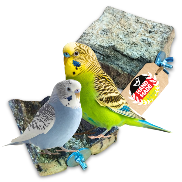 2x Korksitzbrett "S" - glatte, weiche Oberfläche | einseitige Rinde