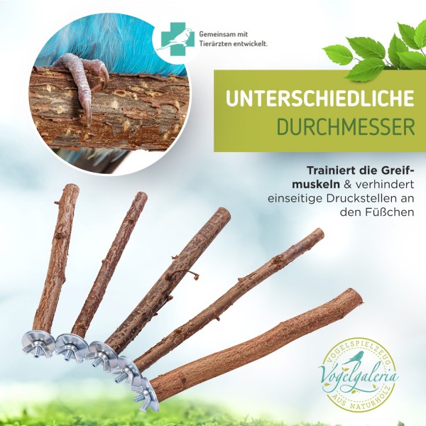 Vogelgaleria Sitzstangen-Set Aus Naturholz Für Wellensittiche & Vögel