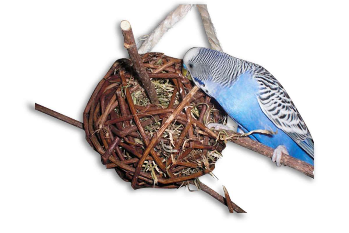 Lyrlody Krallenschleifbrett Für Vögel - Natürliche Krallenpflege Für Papageien, Nymphensittiche & Wellensittiche