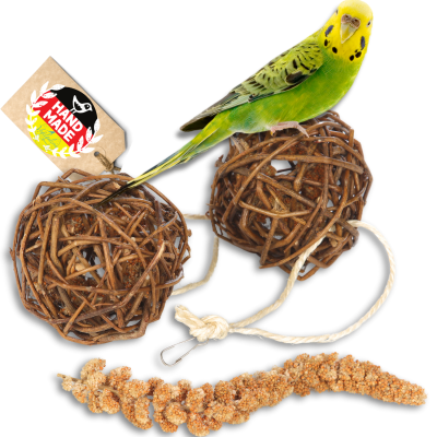 6-teiliges Vogelsittichspielzeug Set – Mit Glocke, Leiter, Ständer & Kauspielzeug Für Nymphensittiche & Co.