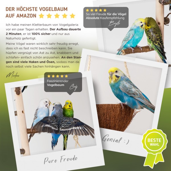 Vogelgaleria® Zimmerhoher Vogel-Kletterbaum 244-246 Cm HiFly Medio