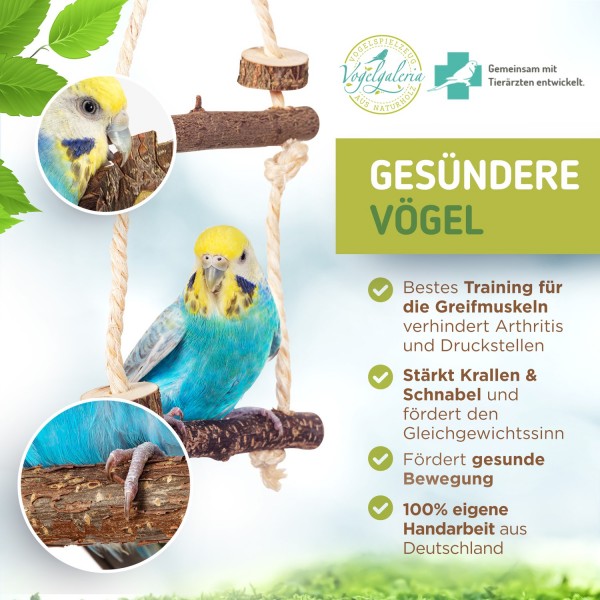 Geelin 16-teiliges Vogelzubehör-Set – Mit 4 Nestschalen, 4 Palmenmatten, 8 Ständern Für Tauben & Wachteln
