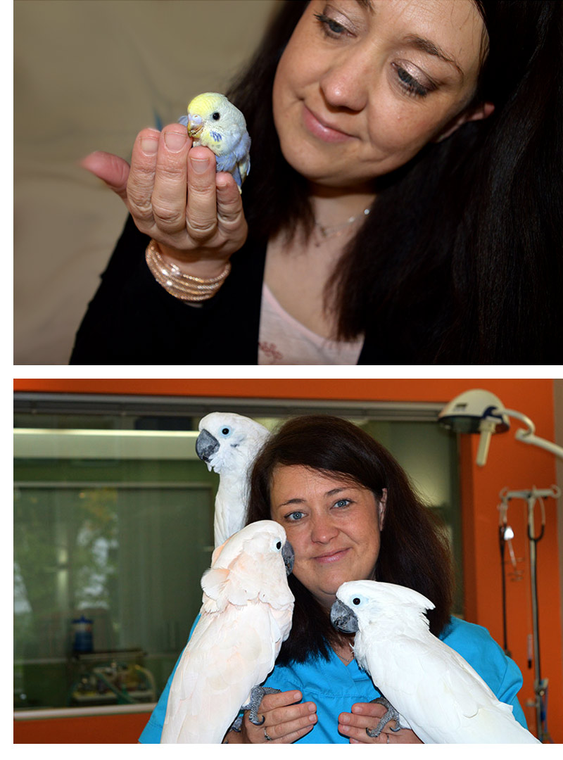 Tierärztin Dr. Schmook