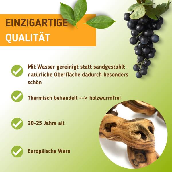 Weinrebe 30-40cm Für Terrarium - Naturholz Deko Für Reptilien & Pflanzen